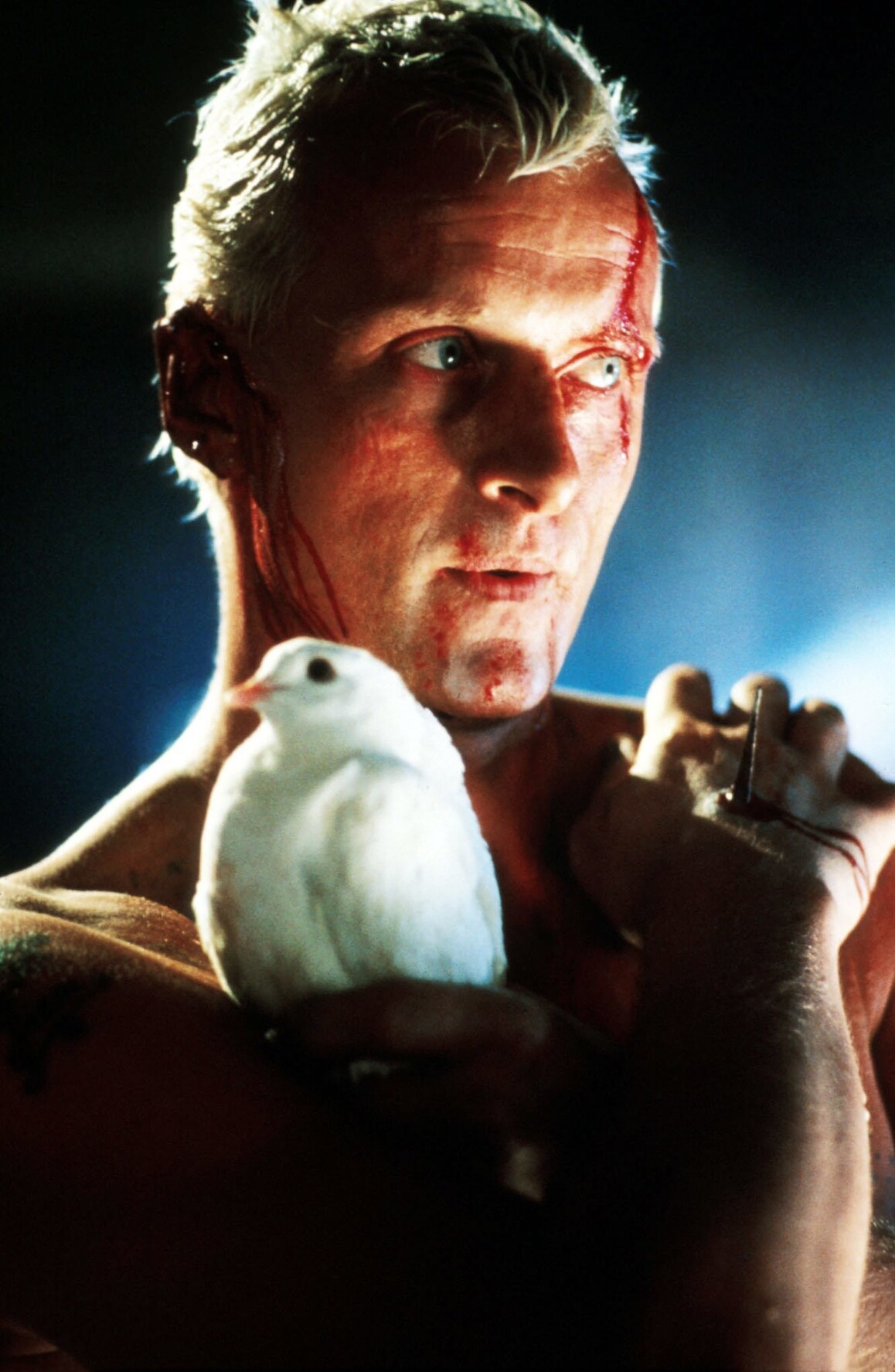 Roy Batty ist mit einer weißen Taube abgebildet. 